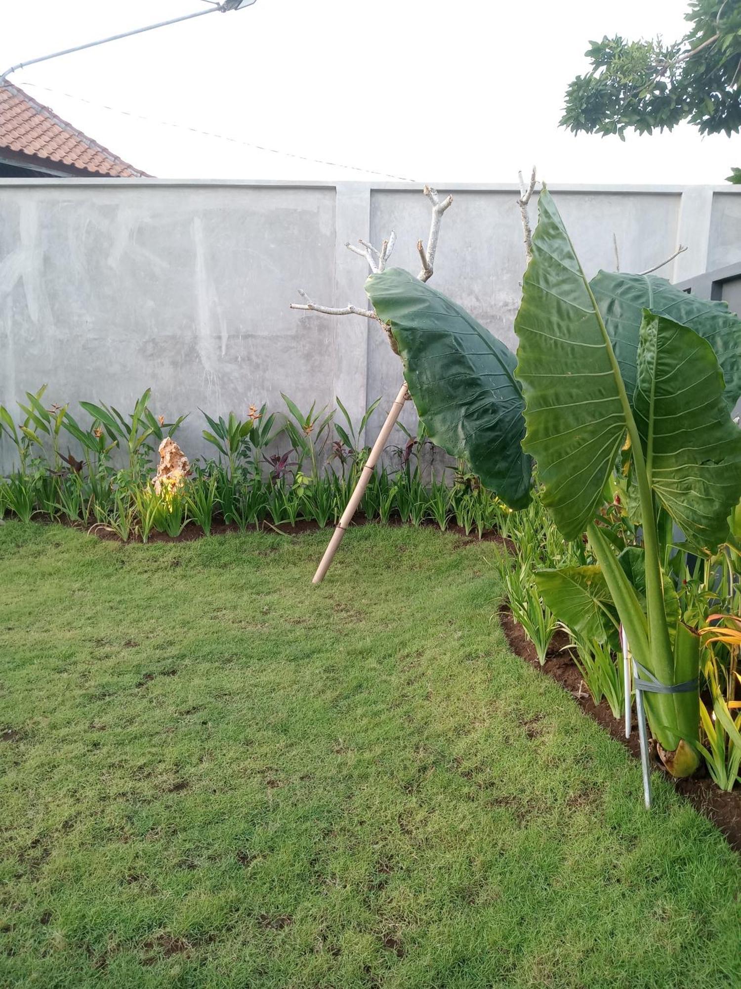 Parama Homestay Balangan ウルワツ エクステリア 写真