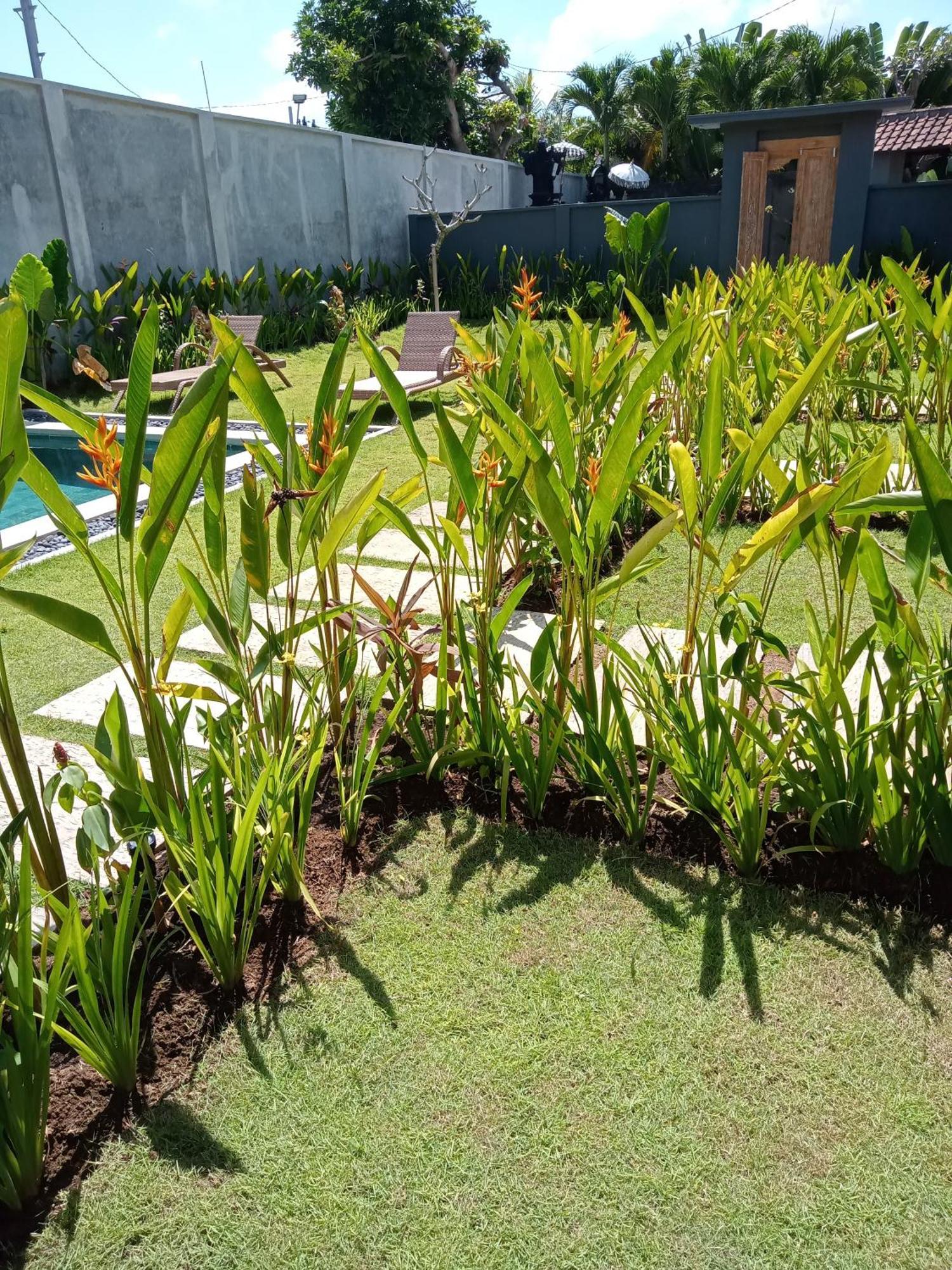 Parama Homestay Balangan ウルワツ エクステリア 写真